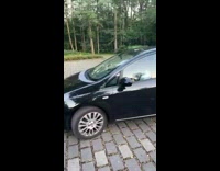 Guy learning how to drive reverses into sign and bush