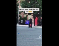 Guy hitches ride on back of mobility scooter 