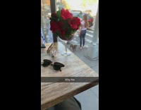 White ghost costume person walks by restaurant 