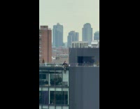 Guys pull up worker hanging on building