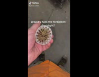 Forbidden fleshlight screws inside of rolled up plastic roll