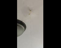 Water leaks from ceiling hole 