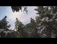 Filmer body camera jump snowy pine tree