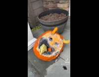 Destroyed pumpkin outside of house ruined by rain