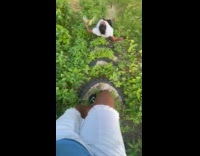 Woman slips down stairs pathway at park