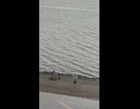 Woman jump small trampoline to the beat of music