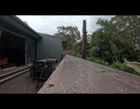 Cockatoo landing behind camera