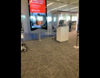 Collab WINY - Pigeon bitd sit on chair of TSA desk