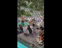 Woman saying her piece to crowd at parking lot