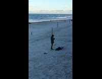 guy drops rose petals on girl seagulls swarm