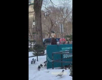 Guy with pigeons one pigeon on head 