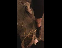 Lady eats french fries off sidewalk ground 