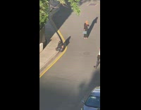 Blonde girl black jumpsuit street white suit