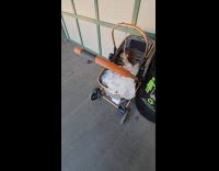 Scary doll on stroller abandoned at subway platform