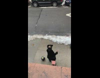 Guy wearing pirate hat walks down sidewalk