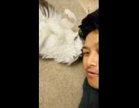 Cat lies on floor bites man face