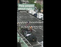 This seems about right guy horse flag