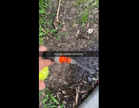 Faucet makes strange stimming noise 