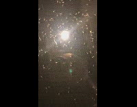 Small bugs crawl on bedroom window screen 