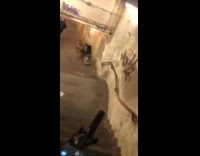 Guy rides bike down subway station stairs