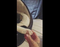 Girl dials phone brown cat paw foot