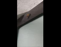 Girl sees bug on top of door 