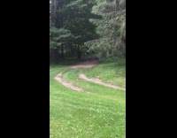 two people riding horses one guy falls off with horse