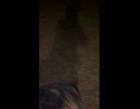 Black dog at yard jumps at filmer