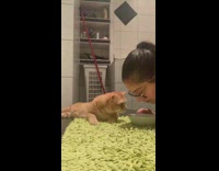 Girl copies and pretends to be like a cat