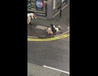 Collab IITW - woman poses 4 dogs corner street