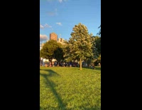 Band at park plays Star Wars song