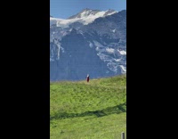 Woman in red dress walks and spins at the grass