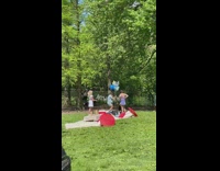 Picnic at park with balloons that say new jew