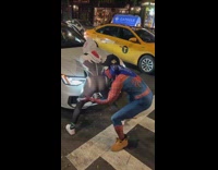 Spider gwen girl dances spiderman costume guy