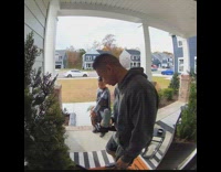 Little boy cusses when sees spider 