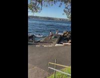 Lady Strikes a Dance Pose for Photo next to Water