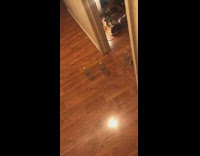 Girl pranks mom sister water bottles room