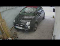 Fox steals box of ornaments from garage 