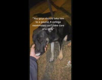 Black dog rescued guys pictures of it growing up