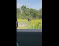 Lady Moves Arms Around as Wind Blows