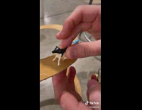 Collab BitchIG2 - Guy uses plastic toys for sculpture project art 