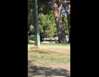 White shoes guy dances short wall park 