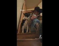 Guy sits on stairs, dog stares at his face