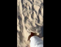 Submitter walks over squeaky sound making noise