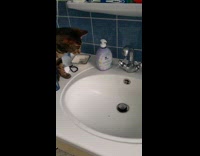 Cat tries to attack water from faucet