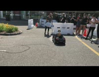 Brown white dog sombrero black toy car 