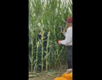 Woman between tall leaves fall down beanie fails