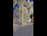 Man on Snowboard Skates and Traverses Frozen Forest