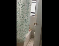 Pigeon enters apartment bathroom through open window 