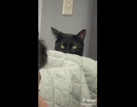 Black cat staring at guy dad playing with baby jealous
